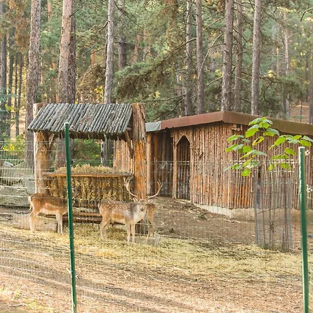 Family Borova Gora * Pirdop