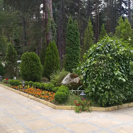 Family Borova Gora Pirdop