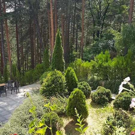 Family Borova Gora Hotel *