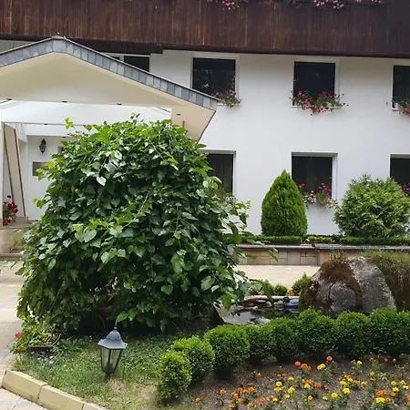 Family Borova Gora Hotel Pirdop